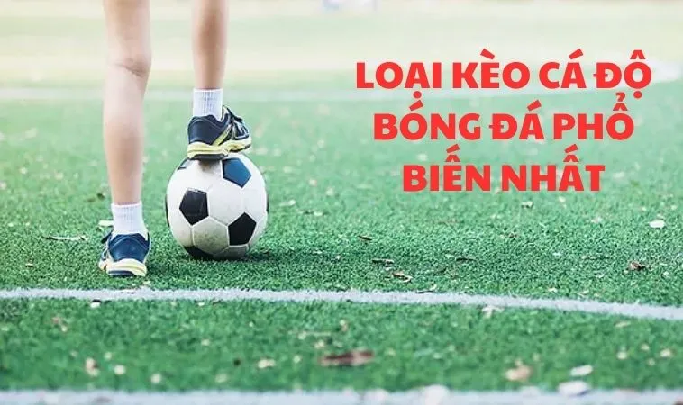 Kinh nghiệm soi kèo cá độ bóng đá bất bại